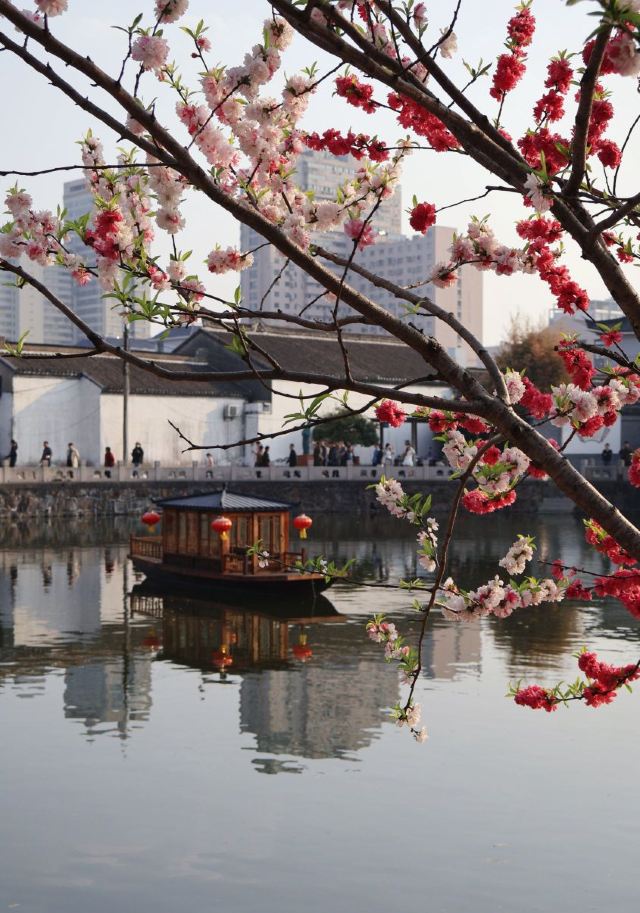 水绘园旅行图片 2