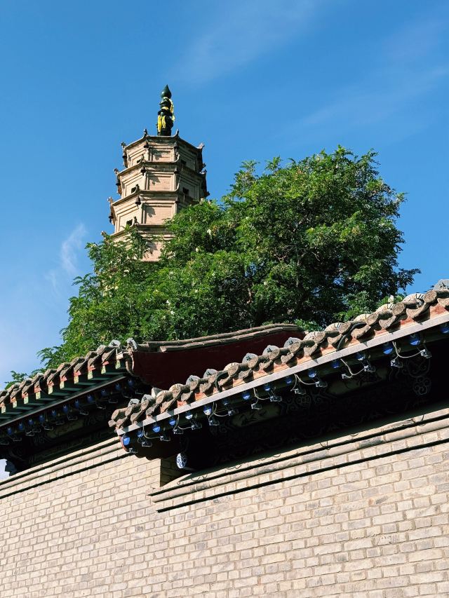 白塔山公园旅行图片 1