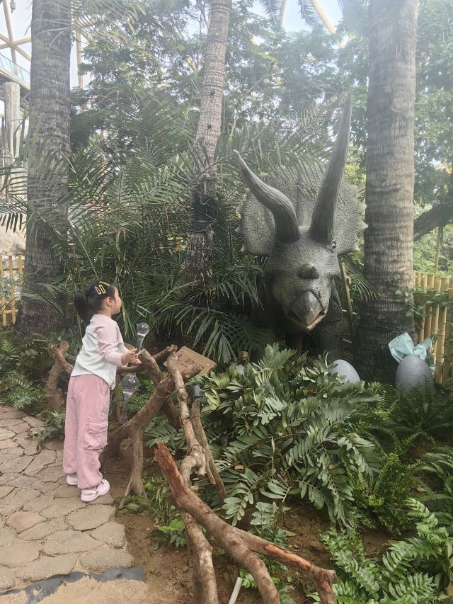 东方伊甸园旅行图片 3