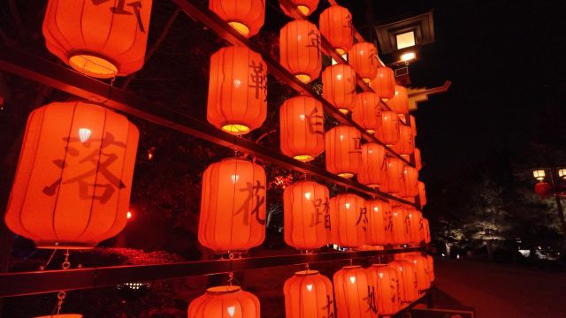 阿克塞博罗转井影视基地(暂停开放)旅行图片 1