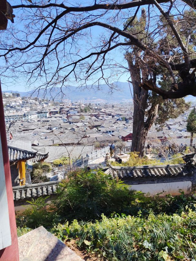 丽江古城旅行图片 2