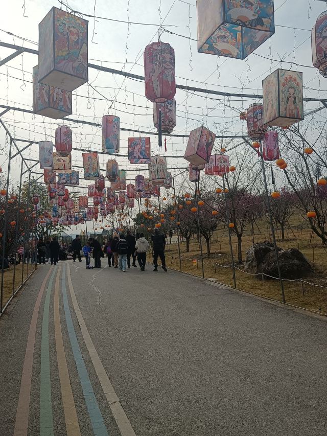 音乐·百花谷旅行图片 4