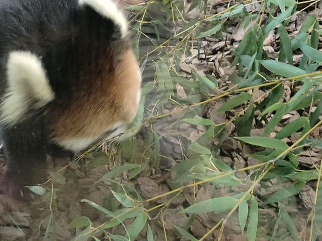 茅山森林世界旅行图片 6