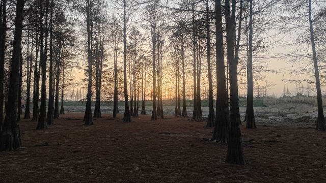 大汉塘旅行图片 4