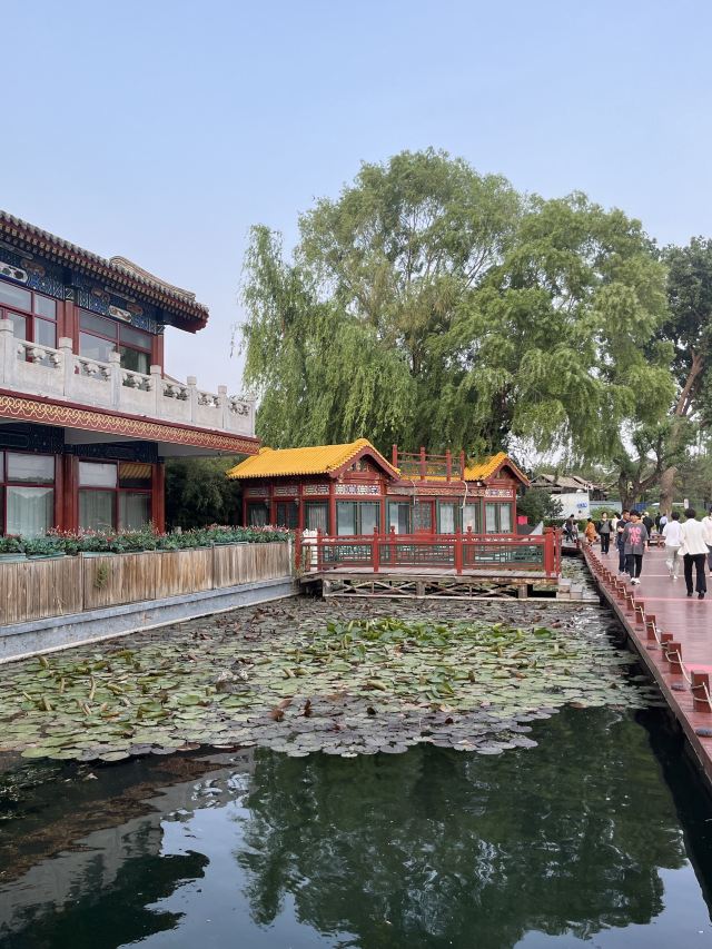 西海旅行图片 3