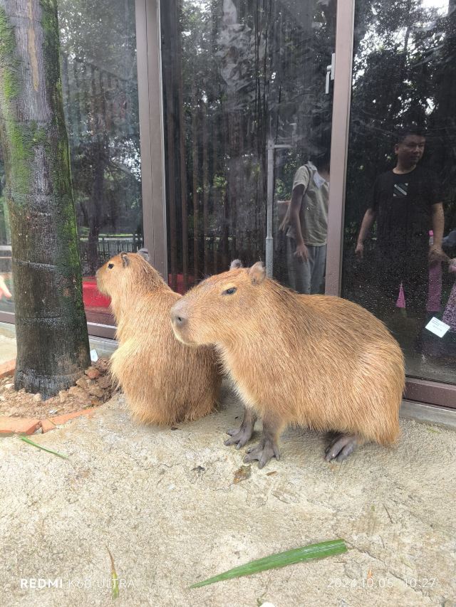 福州动物园旅行图片 1