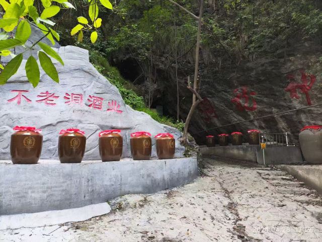 龙门河国家森林公园神龙洞景区旅行图片 5