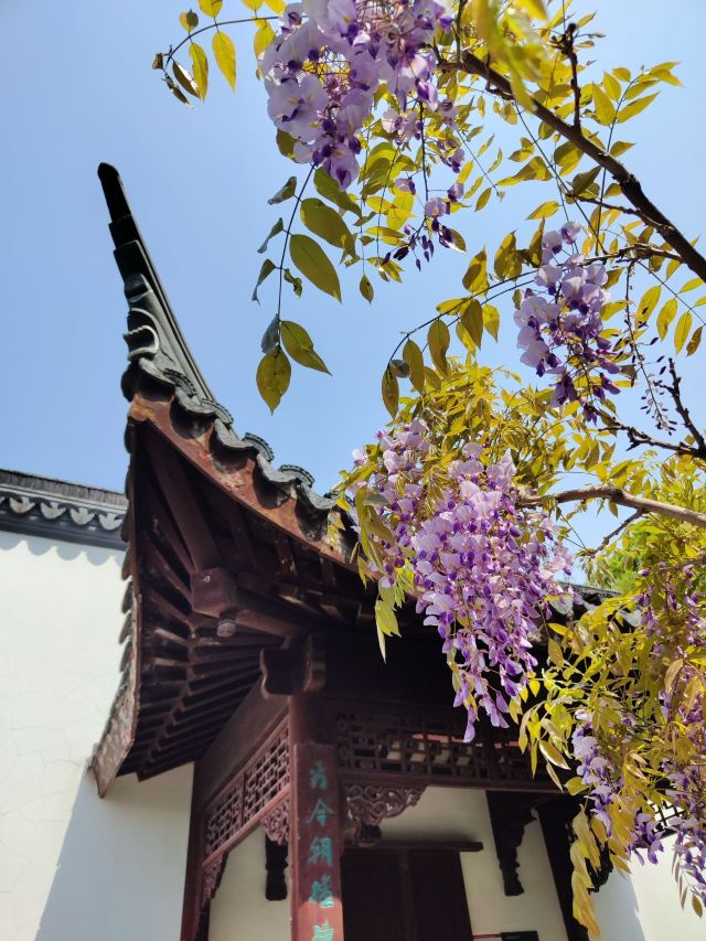 古藤园旅行图片 9