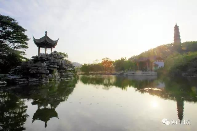 顺峰山公园旅行图片 2