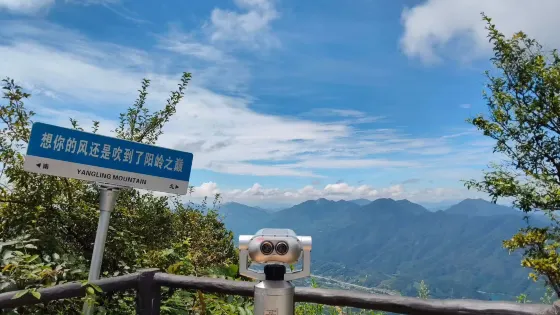 陽嶺之巔