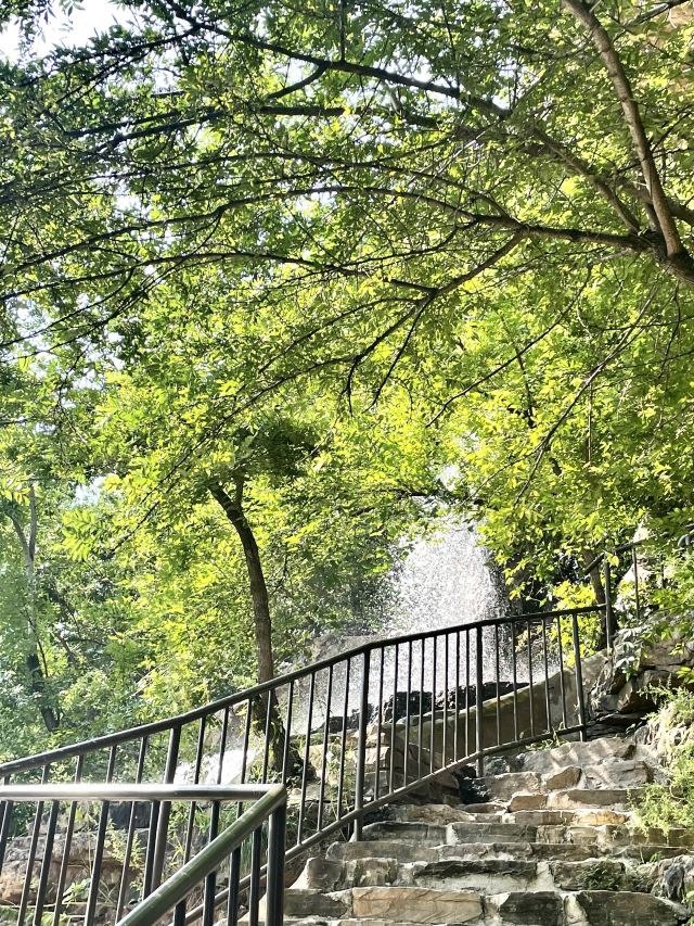 人参谷森林公园旅行图片 1