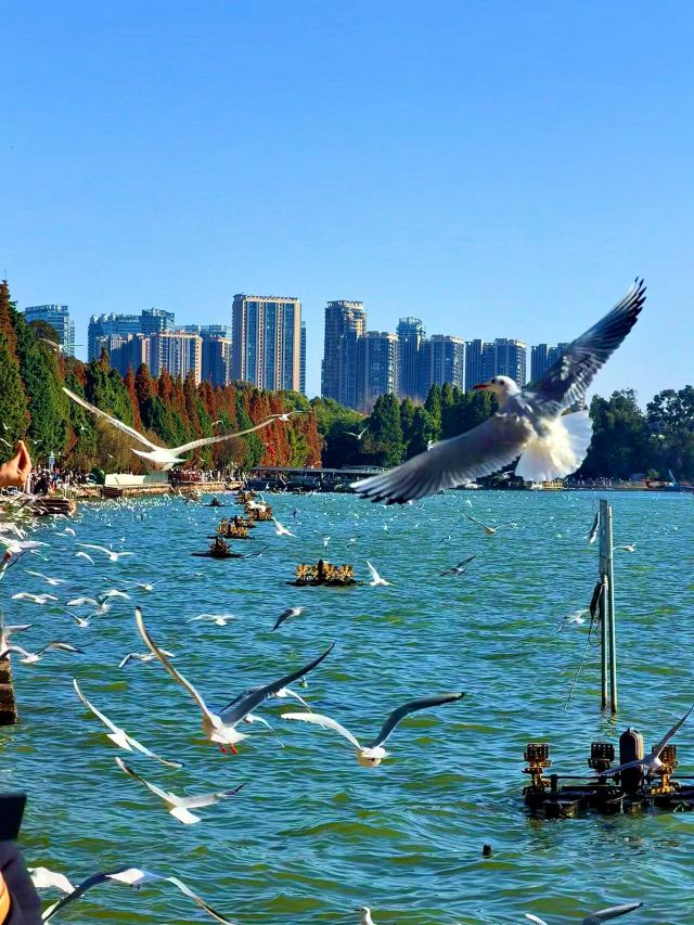 海洪湿地泼水广场旅行图片 1