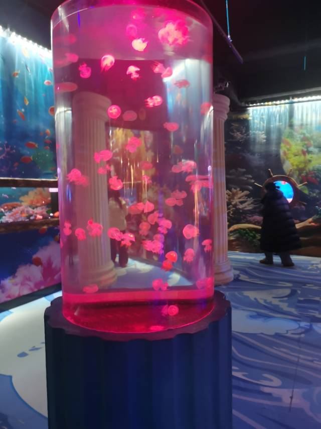 秦皇岛新澳海底世界旅行图片 2