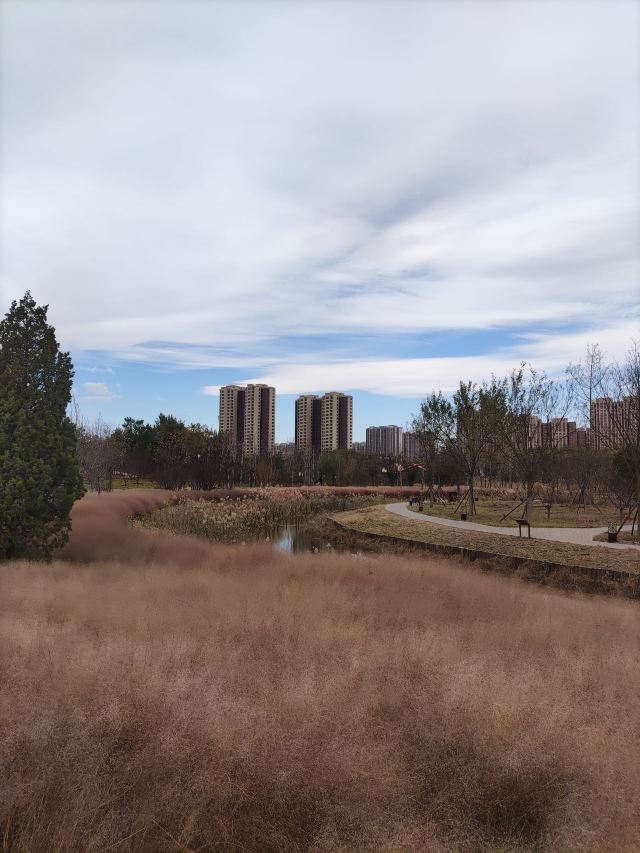 官庄公园旅行图片 9