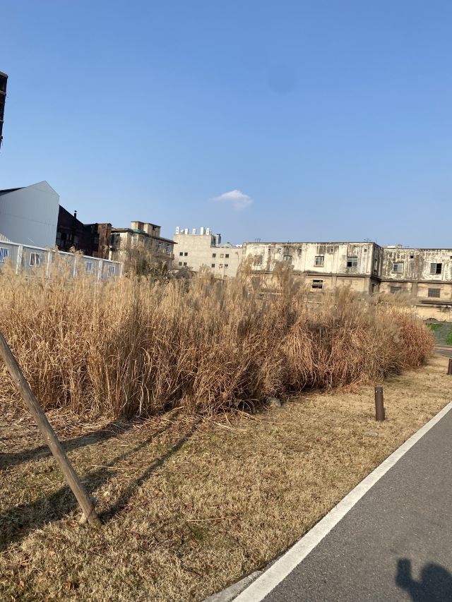 杨树浦电厂遗迹公园旅行图片 4