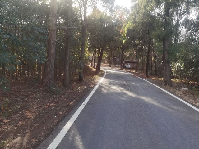 鹿门山旅行图片 1