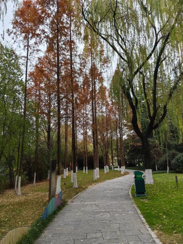 西安城市运动公园旅行图片 4