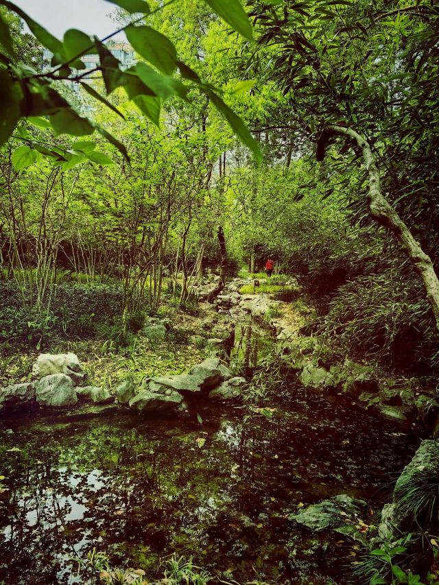 漕溪公园旅行图片 3