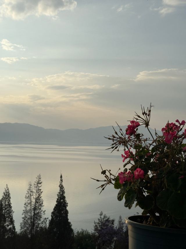 抚仙湖网红s湾旅行图片 1