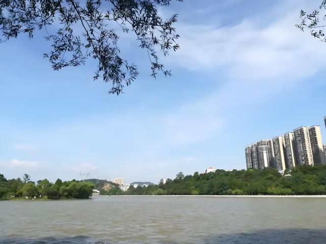 王仙湖旅行图片 1