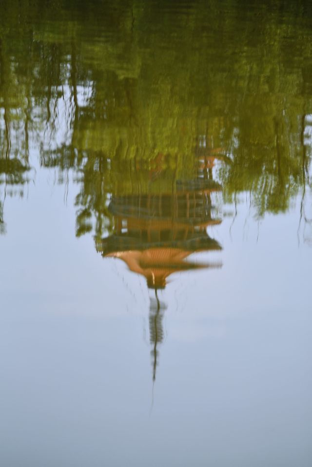 东湖公园旅行图片 15