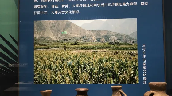 隴南市博物館