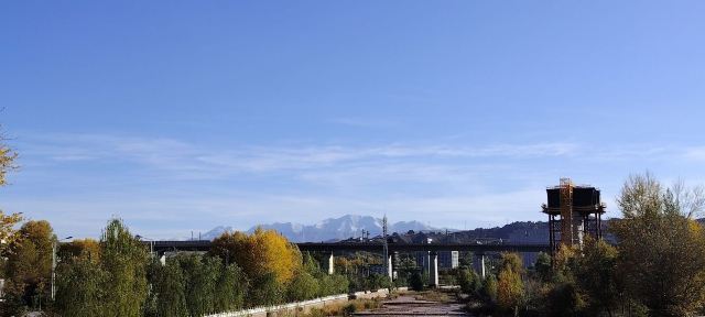 平安心湿地公园旅行图片 5