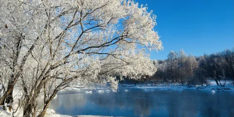 遜克縣古納溫霧凇景區