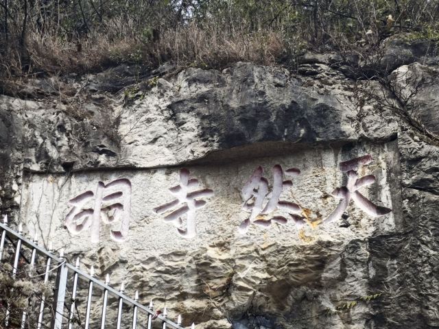 佛光寺旅行图片 4
