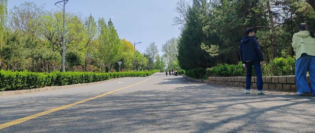 老山城市休闲公园旅行图片 2