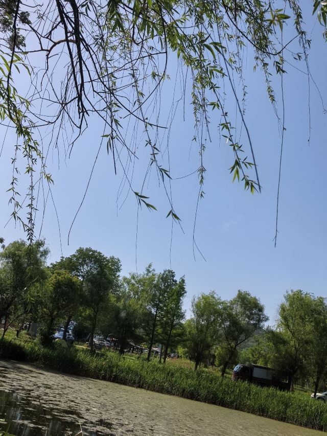 佘村明清代建筑群旅行图片 3