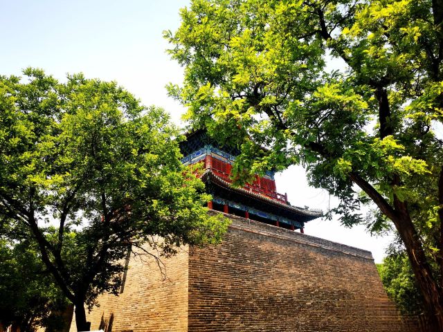 镇朔楼旅游度假区旅行图片 3