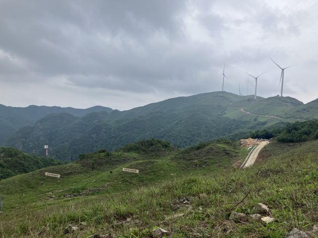 屏山悬索玻璃桥旅行图片 1