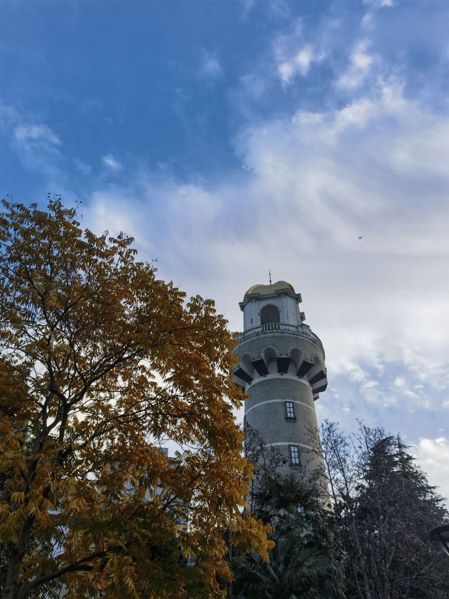 闸北公园旅行图片 1