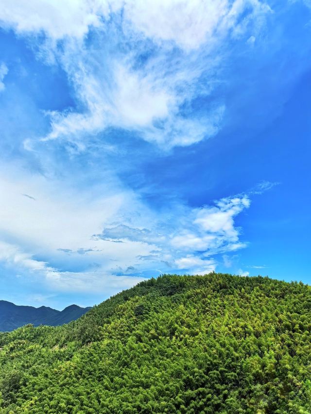 笄山竹海旅行图片 2