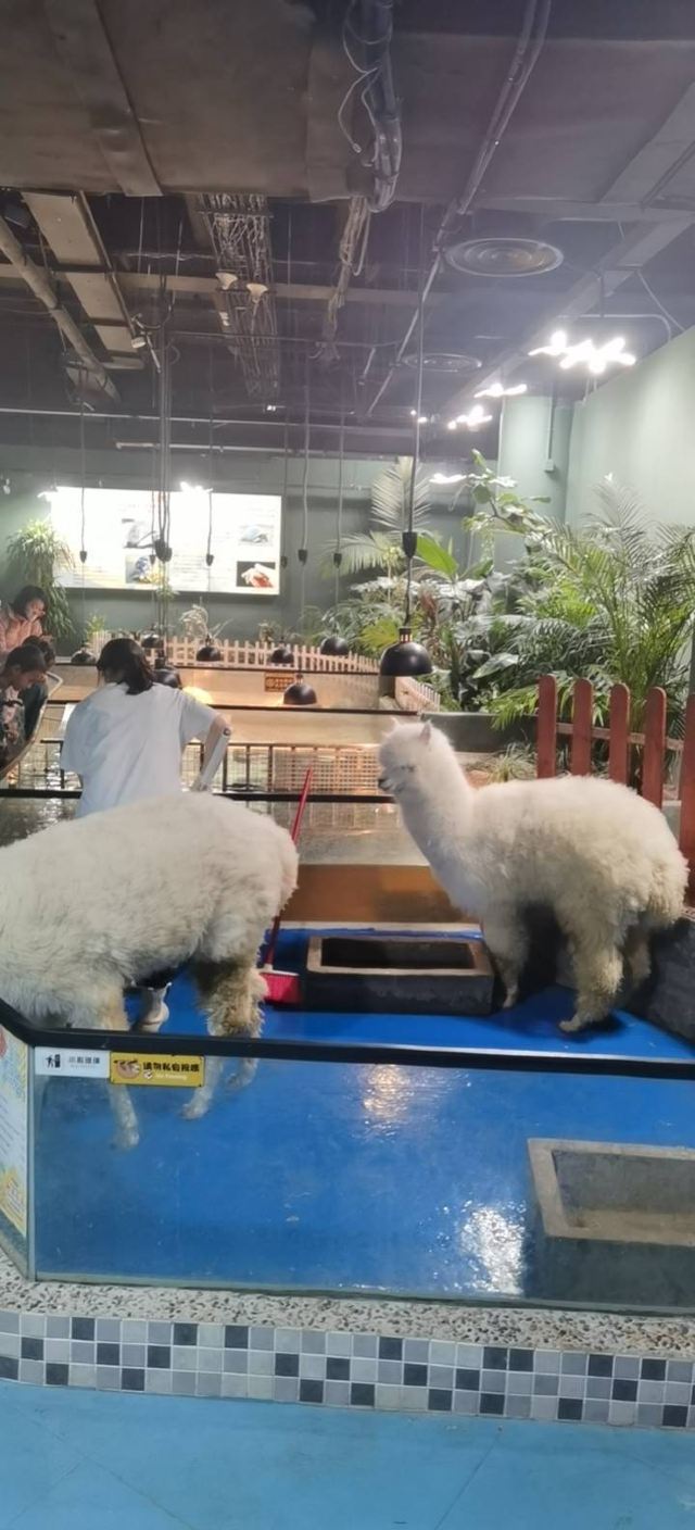 东方明珠公园旅行图片 1