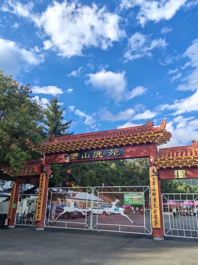 飞泷金山鹿苑旅行图片 1