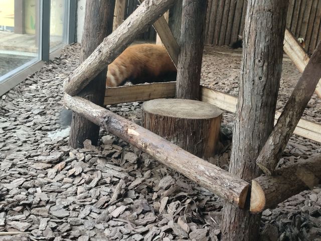 茅山森林世界旅行图片 1