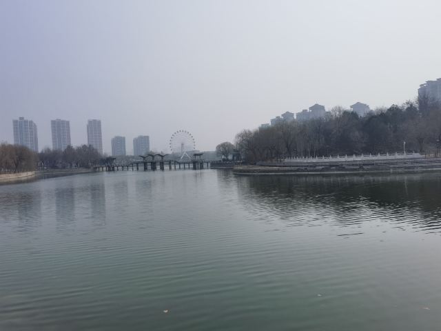 杜鹃湖旅行图片 1