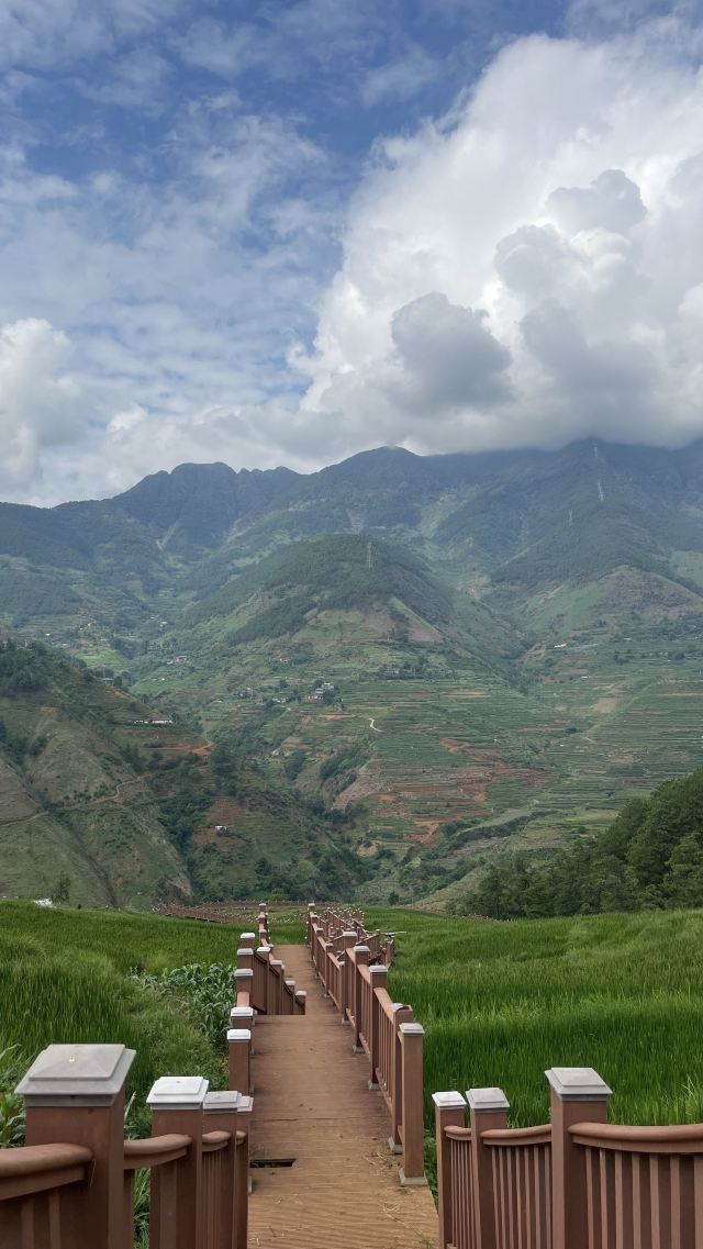 新山梯田旅行图片 7