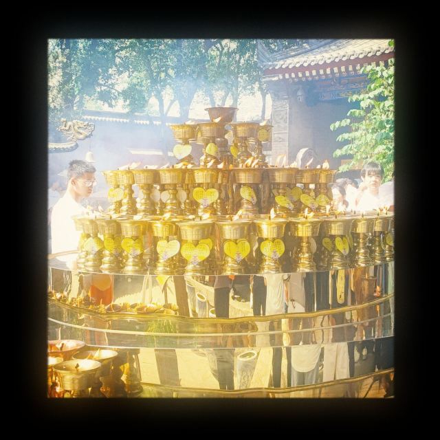 广仁寺旅行图片 3