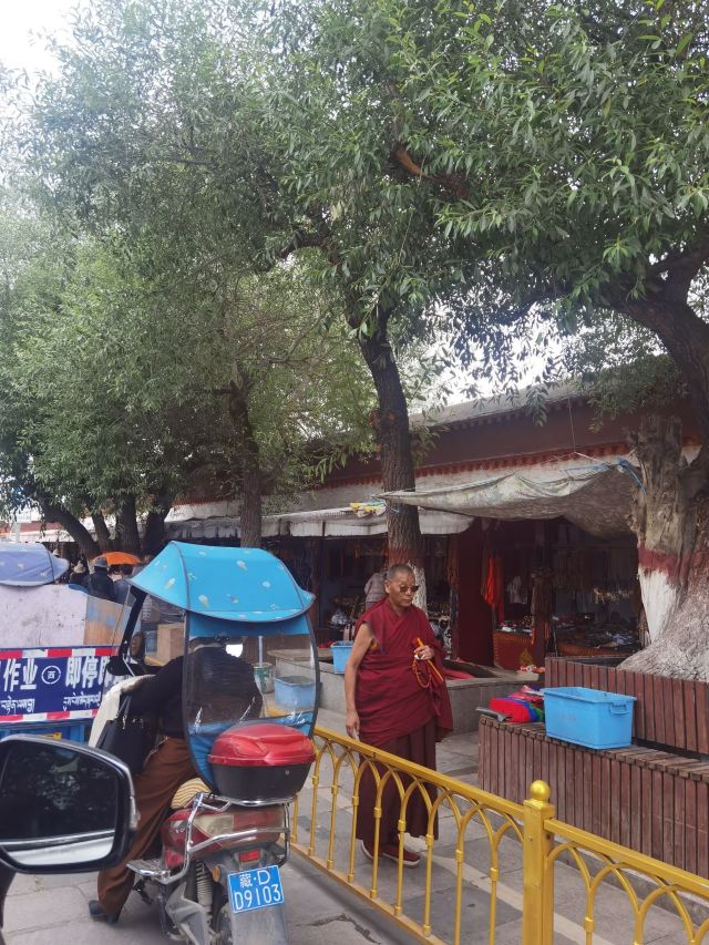 日喀则扎寺广场旅行图片 7
