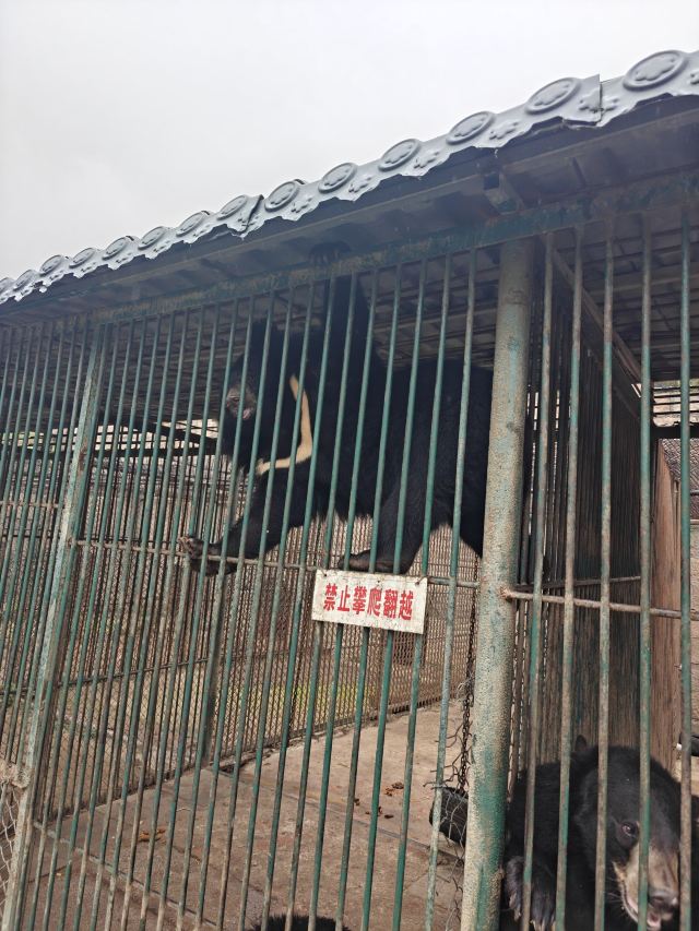 八达岭野生动物世界旅行图片 1