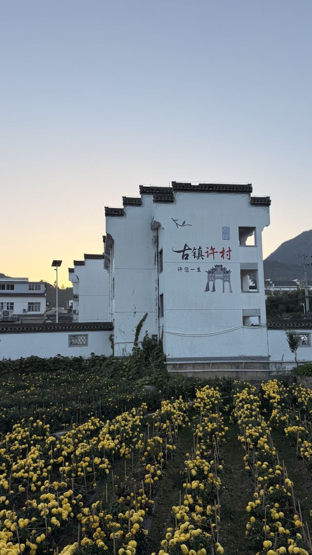 许村旅行图片 1