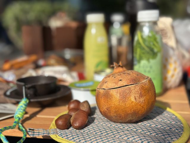 浦江森林公园旅行图片 5
