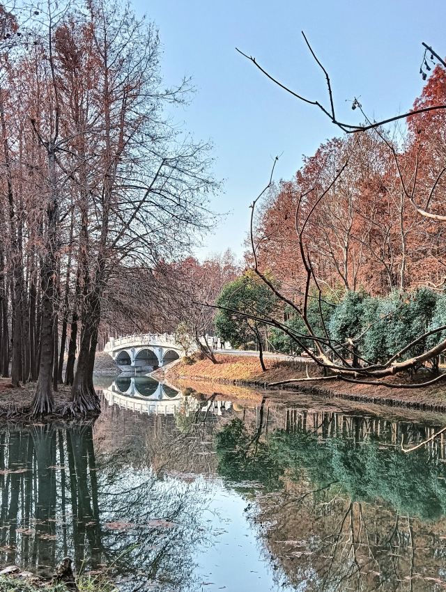 横沔公园旅行图片 9