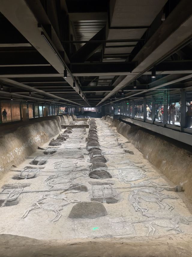 楚王车马阵景区旅行图片 2
