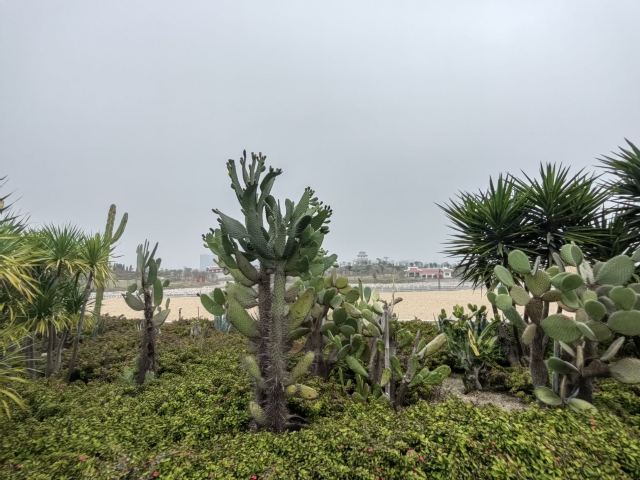 马銮湾环湾带状公园旅行图片 10