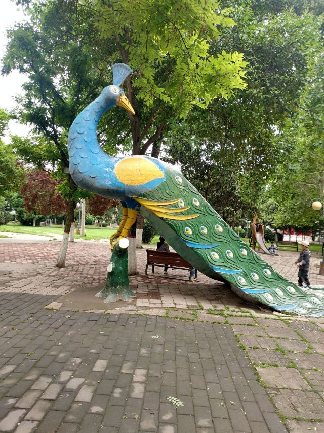 古渡公园旅行图片 13