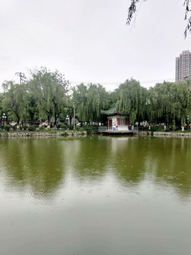 古渡公园旅行图片 9